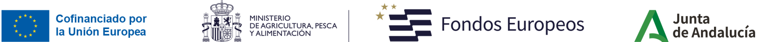 footer
